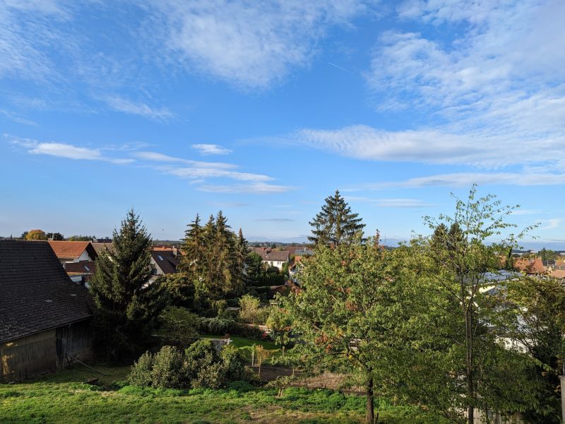 WhatsApp Image 2024-08-06 at 15.09.57